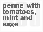 recipe for penne with tomatoes, mint and sage