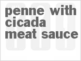 recipe for penne with cicada meat sauce