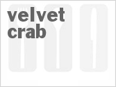 recipe for velvet crab