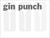 recipe for gin punch