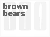 recipe for brown bears