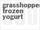 recipe for grasshopper frozen yogurt