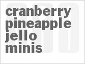 Cranberry Pineapple Jello Minis