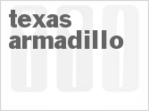 Texas Armadillo