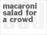 recipe for macaroni salad for a crowd
