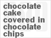 recipe for chocolate cake covered in chocolate chips