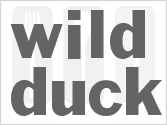 recipe for wild duck
