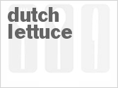 recipe for dutch lettuce