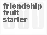 Friendship Fruit Starter
