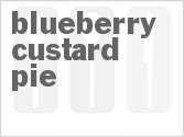 recipe for blueberry custard pie
