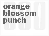 recipe for orange blossom punch