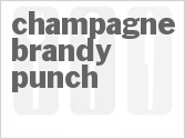 recipe for champagne brandy punch