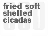 recipe for fried soft-shelled cicadas