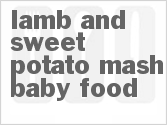 recipe for lamb and sweet potato mash baby food