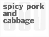 recipe for slow cooker spicy pork and cabbage