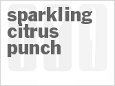 recipe for sparkling citrus punch