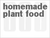 recipe for homemade plant food