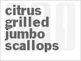 recipe for citrus grilled jumbo scallops