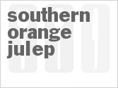 recipe for southern orange julep