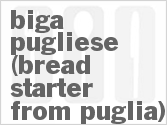 Biga Pugliese (Bread Starter from Puglia)
