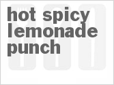 recipe for hot spicy lemonade punch