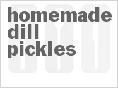 recipe for homemade dill pickles