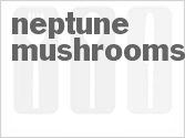 recipe for neptune mushrooms