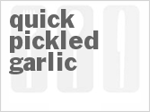 recipe for quick pickled garlic