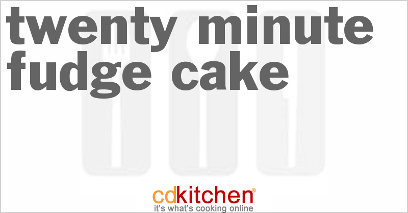 Twenty Minute Fudge Cake - CDKitchen.com
