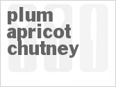 recipe for plum apricot chutney