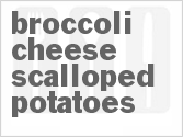 recipe for broccoli cheese scalloped potatoes