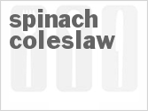 recipe for spinach coleslaw