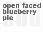 recipe for open faced blueberry pie