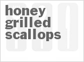 recipe for honey grilled scallops