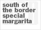 recipe for south of the border special margarita