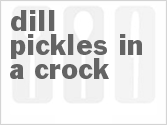 recipe for dill pickles in a crock