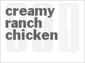 recipe for creamy ranch chicken