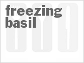 recipe for freezing fresh basil