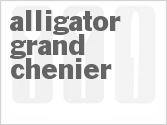 recipe for alligator grand chenier
