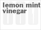 recipe for lemon mint vinegar