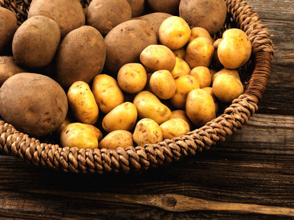 Types of potatoes for mashing